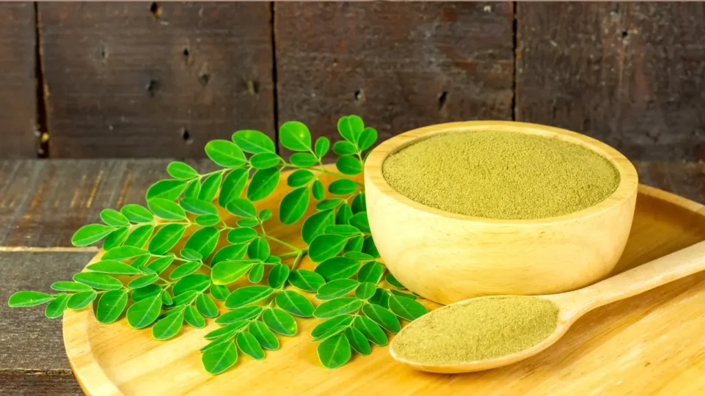 Organic Moringa Powder for immune system